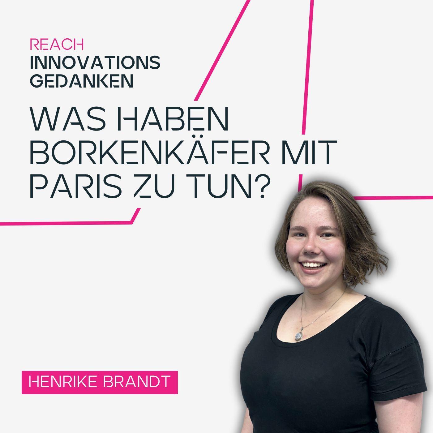 Was haben Borkenkäfer mit Paris zu tun?