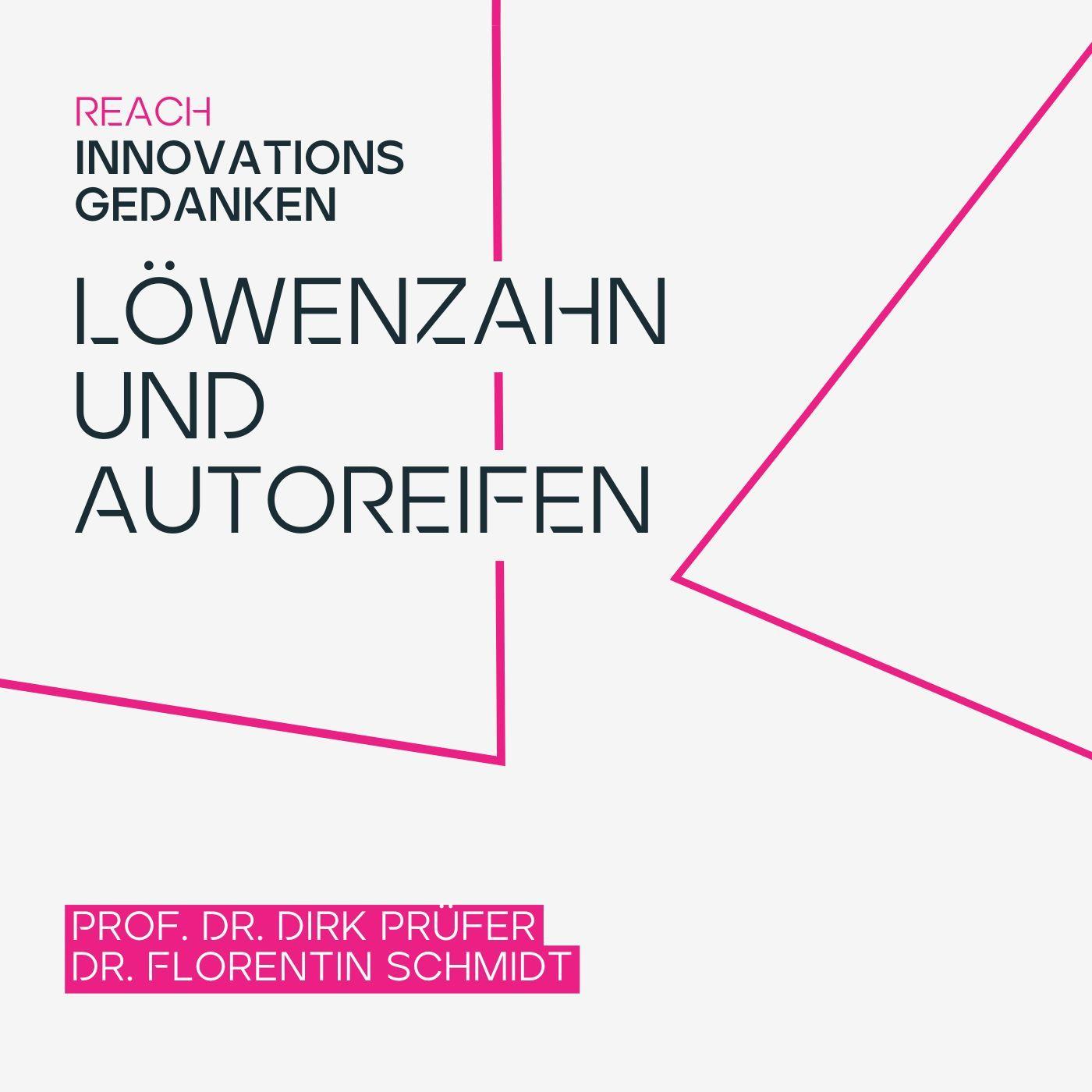 Löwenzahn und Autoreifen